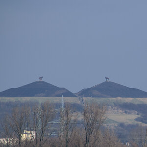 20150207 DSC 0201
