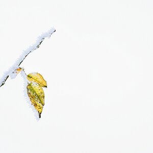 F005642c