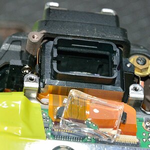 DSC 8701