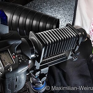 ©MaximilianWeinzierl©MaximilianWeinzierl©MaximilianWeinzierlMAX 1001b