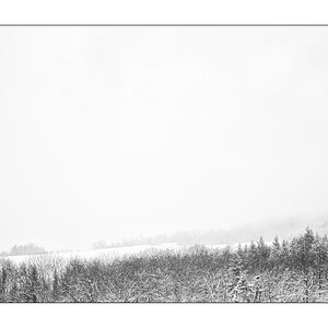 SchneePZ1 4318