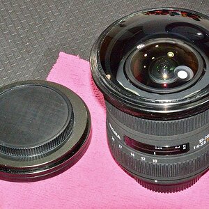DSC 8166