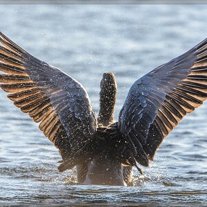 20140223 5223 [NIKON D7100] 600 mm,1 1000 Sek. bei ƒ   4,0