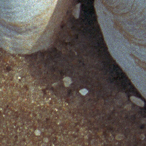Stapelbild0004 Crop
