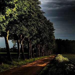 Allee bei Sinninger Mühler