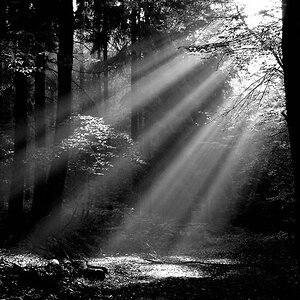 Morgensonne...