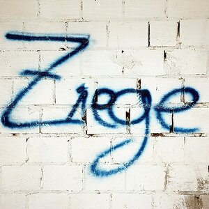Ziege01