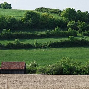 DSC 5517
