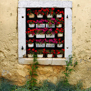 Fenster
