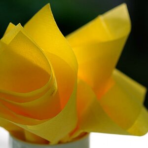 105 serviette bunt JKK 9898 6605