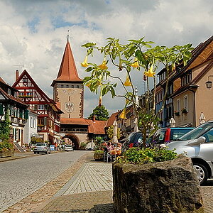 20060606 120809 Forum
