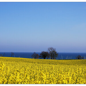 Rraps meer3