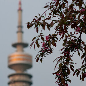 Turm