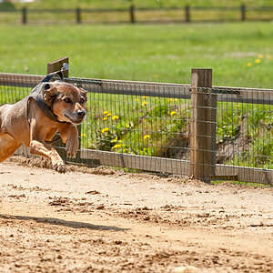 Spassrennen2009 (1 von 1) 131