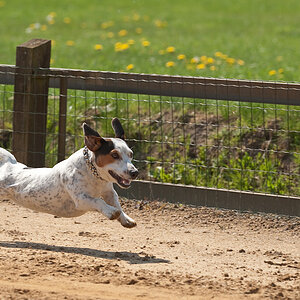 Spassrennen2009 (1 von 1) 171
