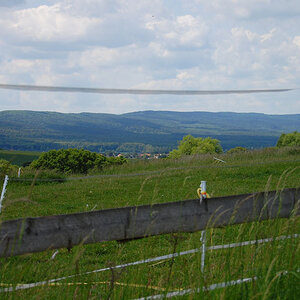 Deister
