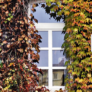 fenster4