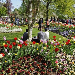 Keukenhof