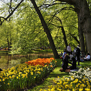 Keukenhof