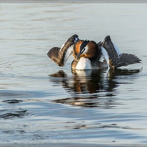 20140319 5826 [NIKON D7100] 500 mm,1 800 Sek. bei ƒ   7,1