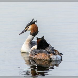 20140319 5946 [NIKON D7100] 500 mm,1 320 Sek. bei ƒ   7,1