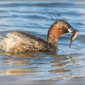 20140329 6141 [NIKON D7100] 850 mm,1 1000 Sek. bei ƒ   8,0