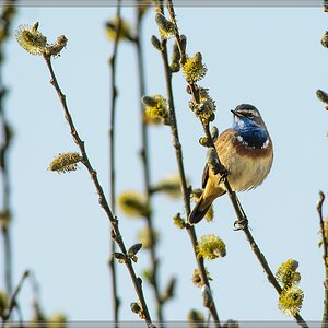 20140330 6309 [NIKON D7100] 500 mm,1 800 Sek. bei ƒ   5,6