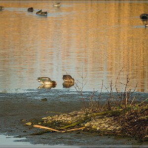 20140330 1060689 [DMC GX7] 300 mm,1 500 Sek. bei ƒ   6,7