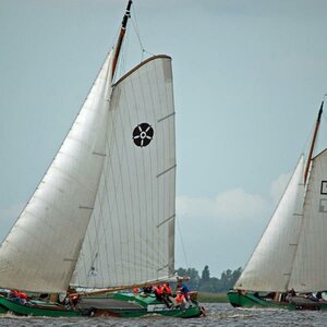 Regatta