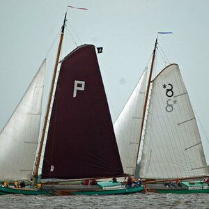 Regatta