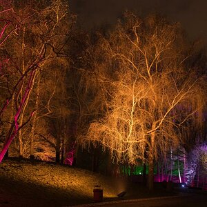 Winterlichter im Luisenpark Mannheim 13