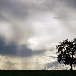 wetter