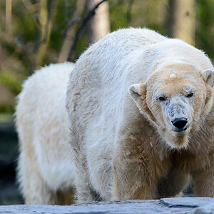 600mm, f6.3, ca. 35 Meter