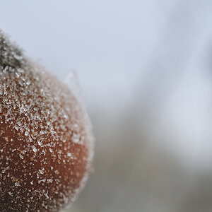 k 2012 12 01 10944  D300S A