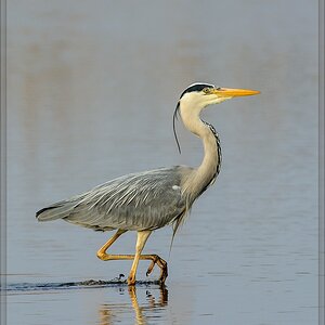 20140401 6494 [NIKON D7100] 500 mm,1 800 Sek. bei ƒ   6,3