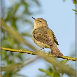 20140412 5382 [NIKON D4] 850 mm,1 1000 Sek. bei ƒ   8,0