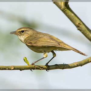 20140417 7309 [NIKON D7100] 850 mm,1 1250 Sek. bei ƒ   8,0