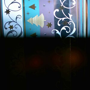 DSC 8199
