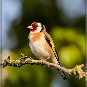 20140412 5438 [NIKON D4] 850 mm,1 1000 Sek. bei ƒ   8,0