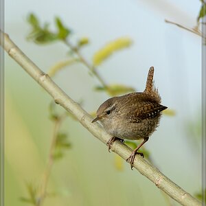 20140412 5462 [NIKON D4] 850 mm,1 1000 Sek. bei ƒ   8,0
