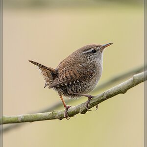 20140413 6059 [NIKON D4] 850 mm,1 400 Sek. bei ƒ   8,0