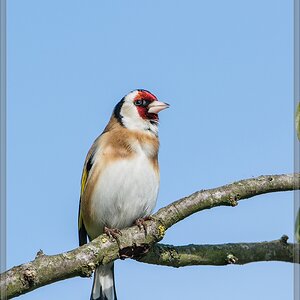 20140417 7239 [NIKON D7100] 600 mm,1 1000 Sek. bei ƒ   8,0