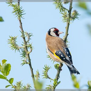 20140417 7275 [NIKON D7100] 600 mm,1 1000 Sek. bei ƒ   8,0