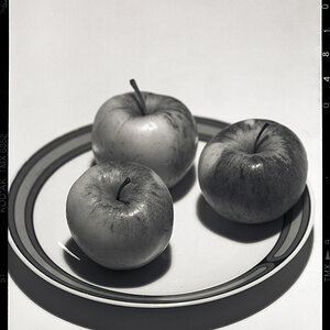 Plaubel Test 6x9 2