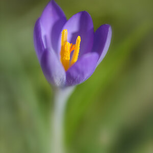 20150225 122611