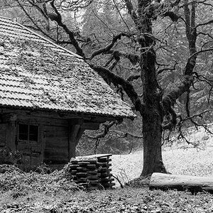 DSC 2894 Bearbeitet
