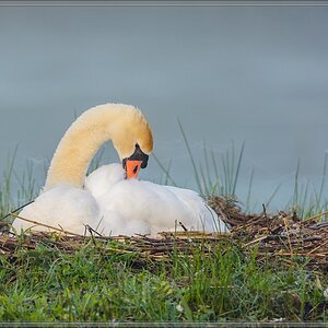 20140412 7003 [NIKON D7100] 600 mm,1 500 Sek. bei ƒ   6,3