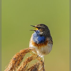 20140418 9717 [NIKON 1 V1] 850 mm,1 80 Sek. bei ƒ   7,1