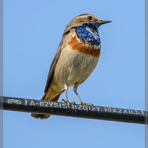 20140420 7813 [NIKON D7100] 850 mm,1 1250 Sek. bei ƒ   8,0