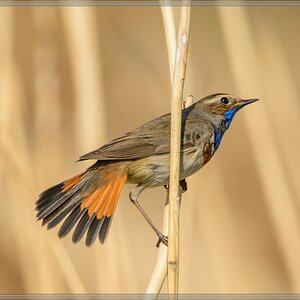 20140420 7843 [NIKON D7100] 850 mm,1 1250 Sek. bei ƒ   8,0
